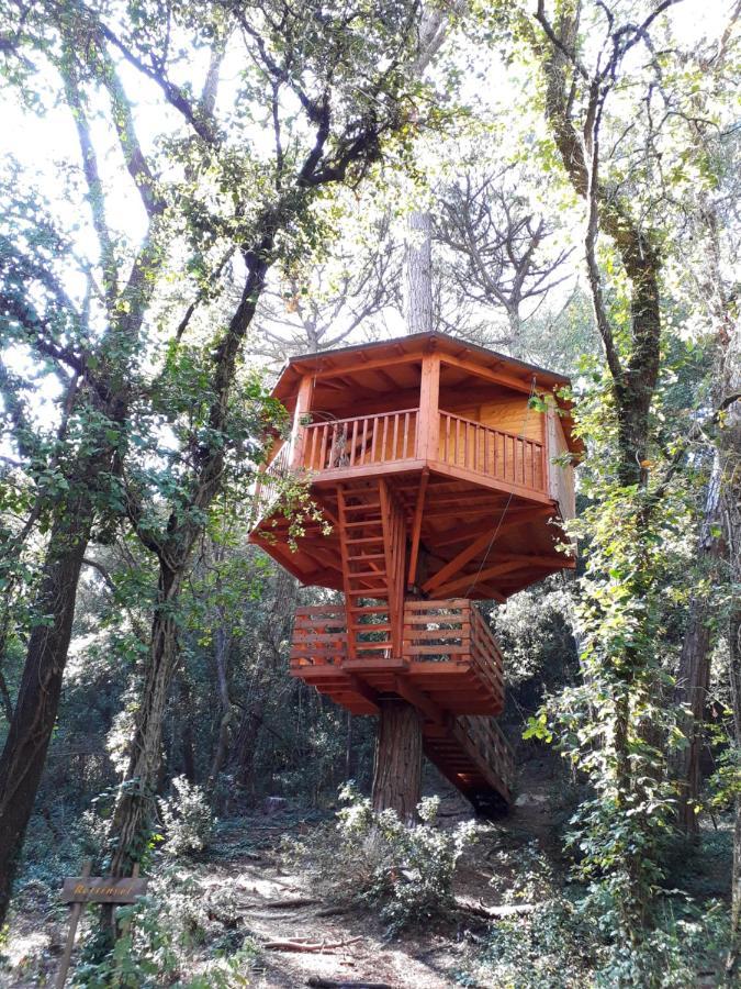 Cabanes Dosrius Canyamás Exteriér fotografie