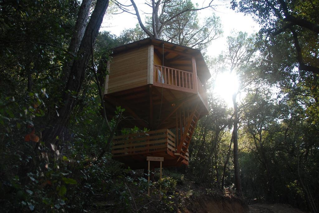 Cabanes Dosrius Canyamás Exteriér fotografie